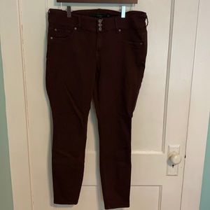 Torrid Jegging in 14R.
